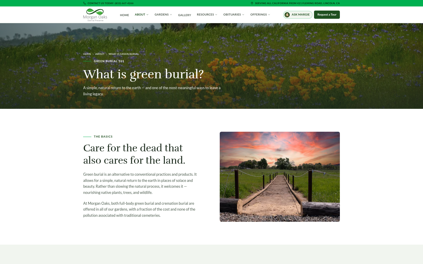 Morgan Oaks What is green burial? education page with California poppies and a boardwalk at sunset
